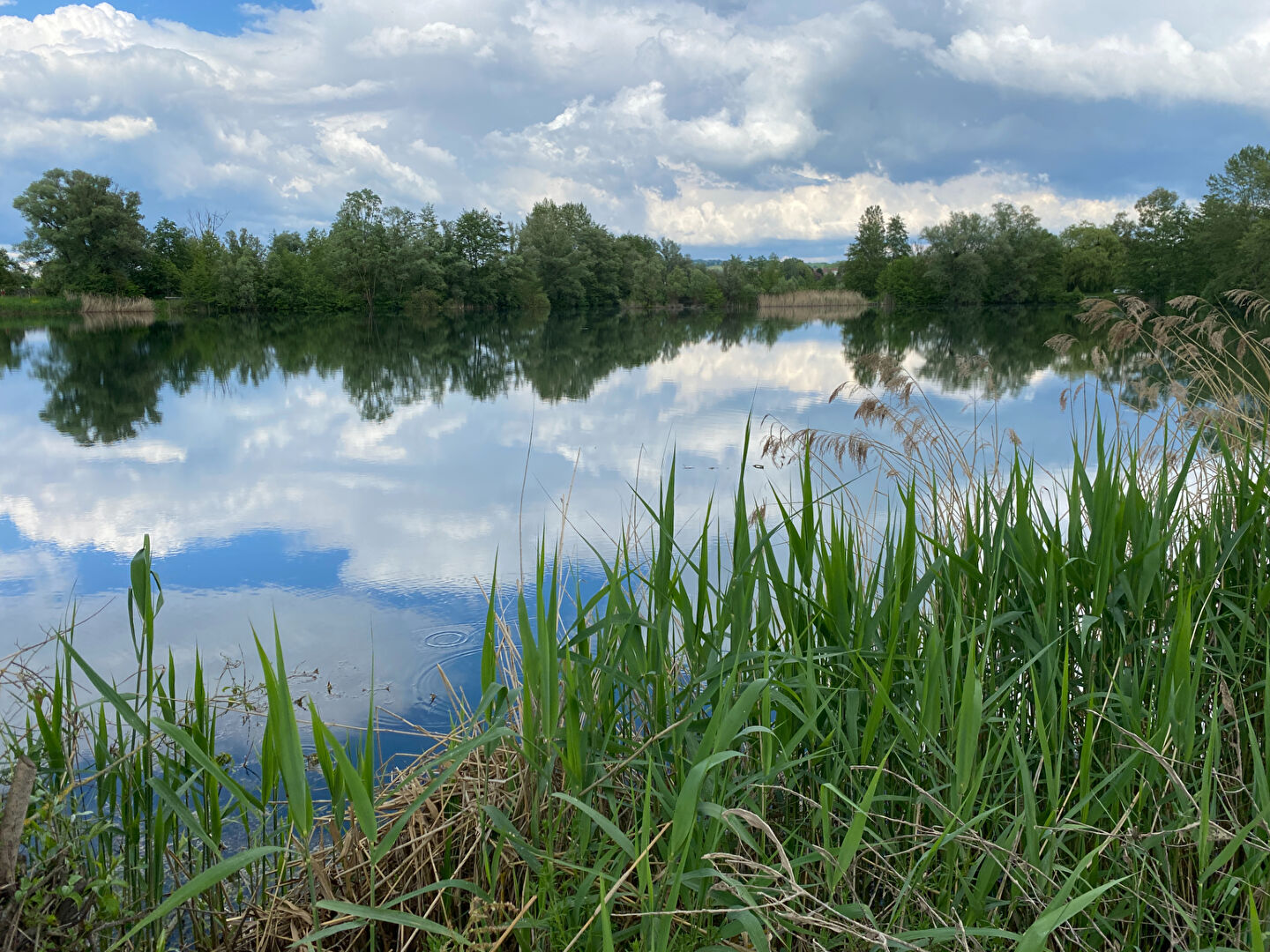 etang thionville 1