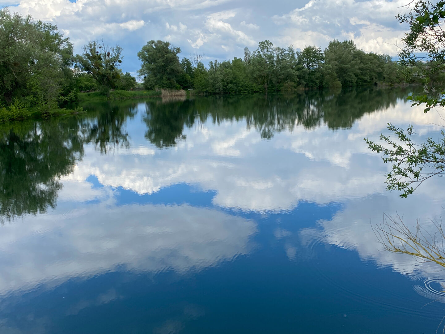 etang thionville 4