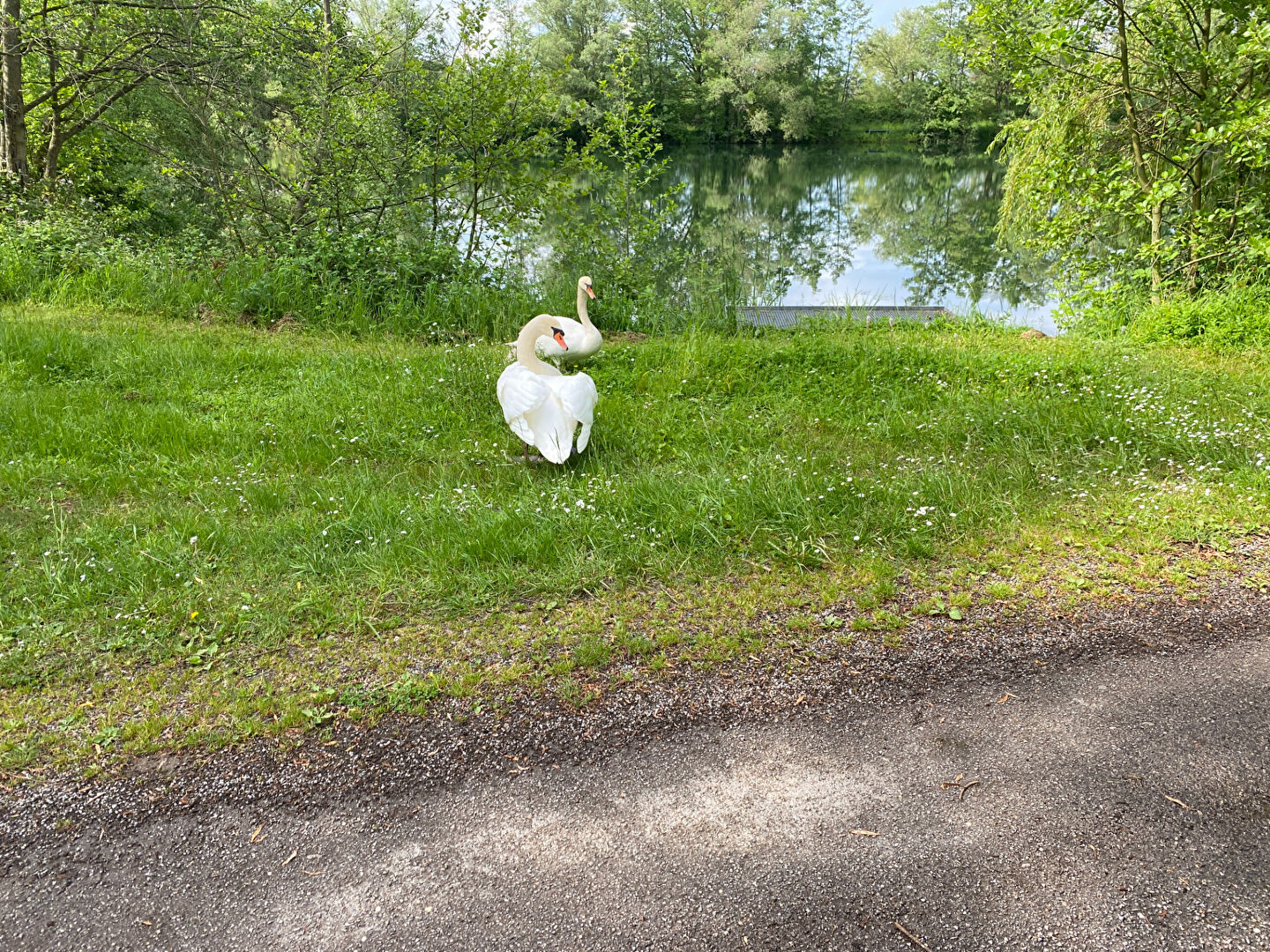 etang thionville 8